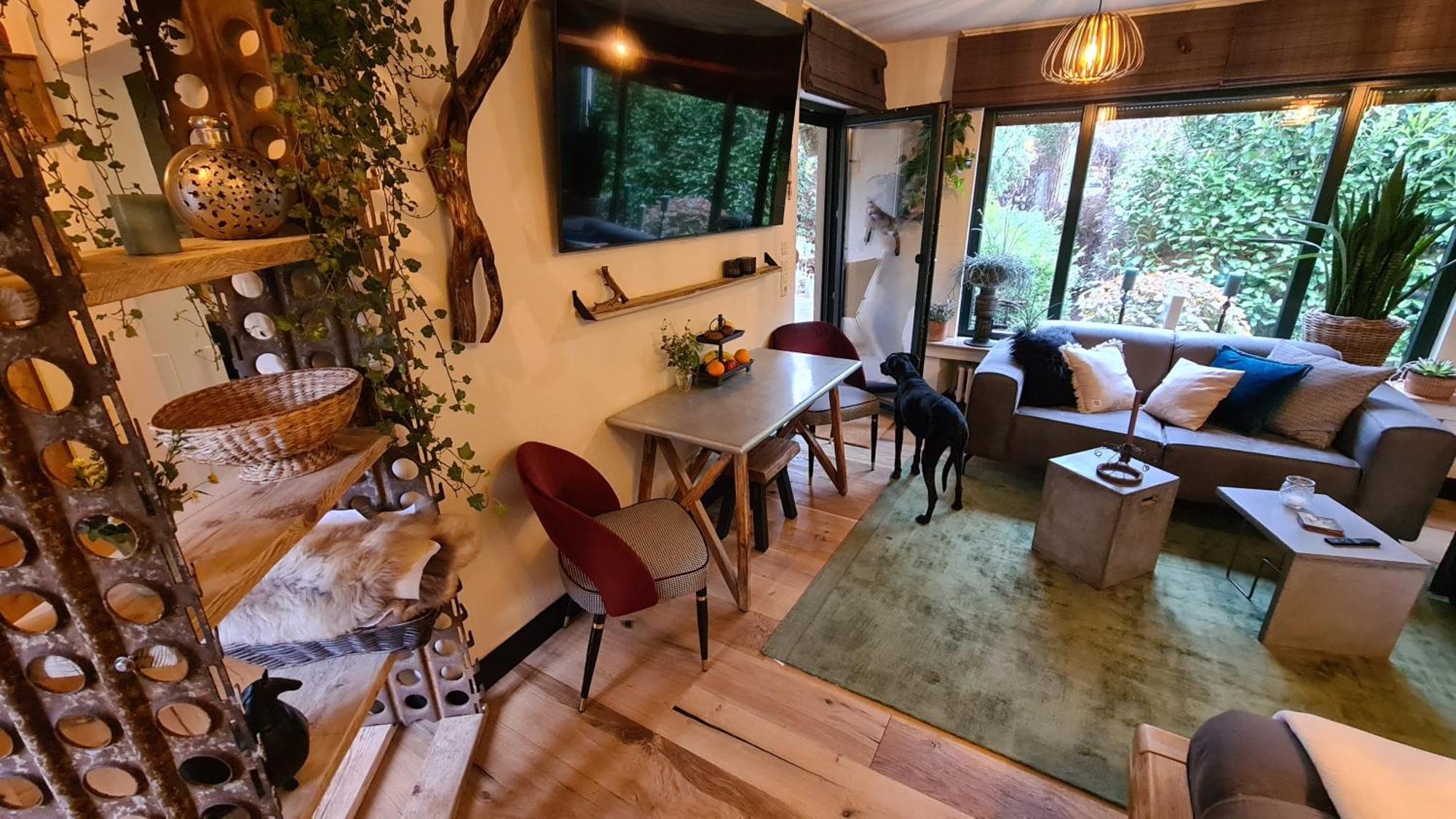 Boutique Apartments Benz I-Iii برجيش جلادباخ المظهر الخارجي الصورة
